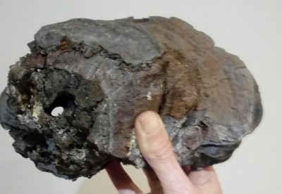 20180109_180804-1.jpg (67.45 KiB) Osservato 599 volte 20180109_180804-1.jpg