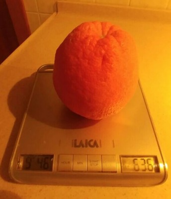 IMG-20180121-WA0000-1.jpg (48.62 KiB) Osservato 539 volte IMG-20180121-WA0000-1.jpg