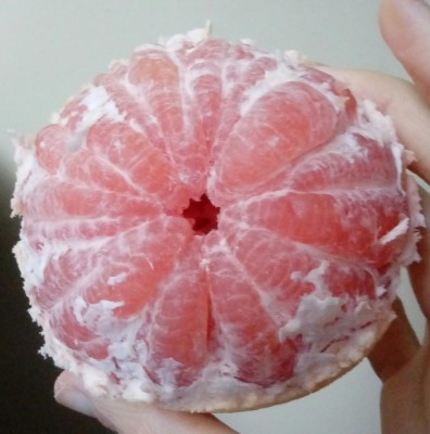 20180125_124120-1.jpg (83.7 KiB) Osservato 432 volte 20180125_124120-1.jpg