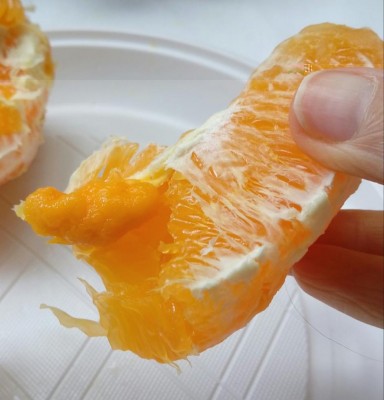 20180202_125837-1.jpg (73.57 KiB) Osservato 584 volte 20180202_125837-1.jpg