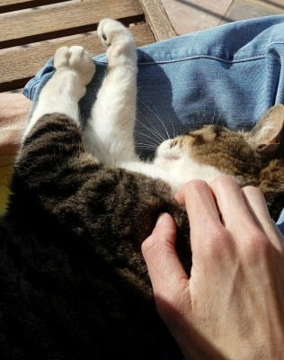 Ginevra / 20180418_100806-1.jpg 20180418_100806-1.jpg