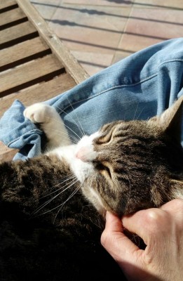 Ginevra 2 / 20180418_100851-1.jpg 20180418_100851-1.jpg