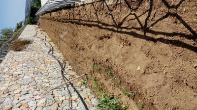 20180420_121151.jpg (186.71 KiB) Osservato 404 volte 20180420_121151.jpg