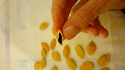 20180422_172347.jpg (37.7 KiB) Osservato 432 volte 20180422_172347.jpg