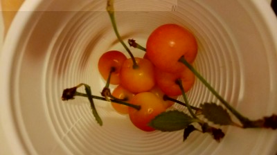 20180529_120612.jpg (42.72 KiB) Osservato 377 volte 20180529_120612.jpg