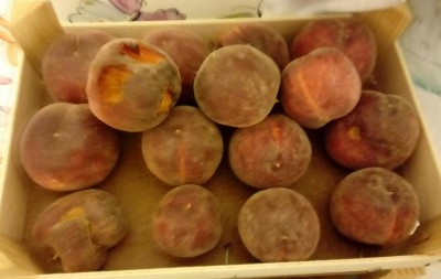 20180603_072459-1.jpg (55.44 KiB) Osservato 524 volte 20180603_072459-1.jpg