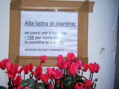 167317_171385562903595_144711705570981_338311_7964888_n (1).jpg (69.74 KiB) Osservato 565 volte 167317_171385562903595_144711705570981_338311_7964888_n (1).jpg