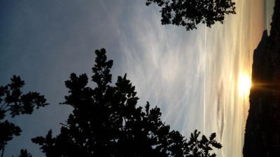 Alba / 20180624_060826.jpg 20180624_060826.jpg