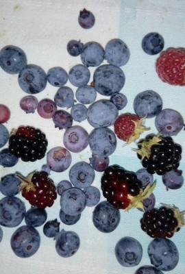 Frutti di bosco / 20180630_120700-1.jpg 20180630_120700-1.jpg