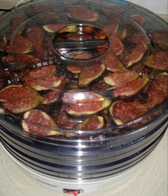 20180710_191550-1.jpg (96.68 KiB) Osservato 389 volte 20180710_191550-1.jpg