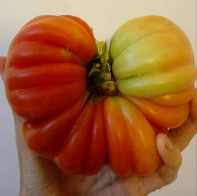 Pomodoro / 20180712_143246-1.jpg 20180712_143246-1.jpg