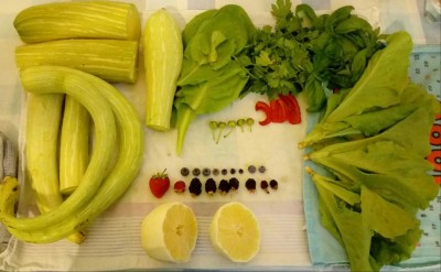 20180713_150058-1.jpg (72.69 KiB) Osservato 331 volte 20180713_150058-1.jpg