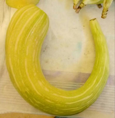 20180715_141155-1.jpg (64.5 KiB) Osservato 416 volte 20180715_141155-1.jpg