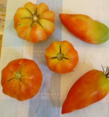 20180715_170831-1-1.jpg (75.87 KiB) Osservato 405 volte 20180715_170831-1-1.jpg