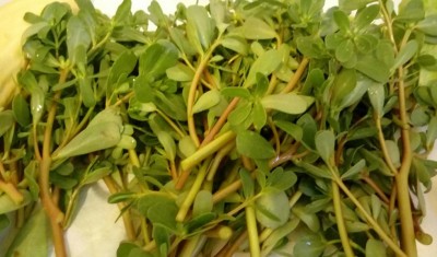 20180717_131213-1.jpg (79.23 KiB) Osservato 348 volte 20180717_131213-1.jpg