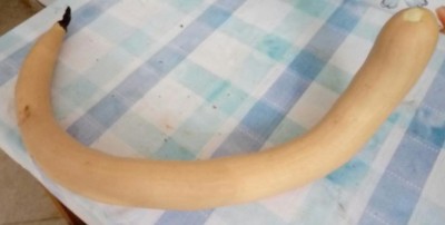 20180717_161331-1.jpg (30.25 KiB) Osservato 335 volte 20180717_161331-1.jpg