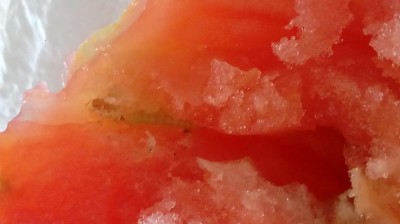 20180719_144918.jpg (43.34 KiB) Osservato 489 volte 20180719_144918.jpg