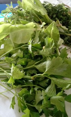 20180722_153436-1.jpg (84.83 KiB) Osservato 410 volte 20180722_153436-1.jpg