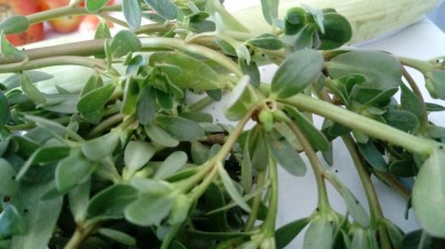 20180729_132756.jpg (70.39 KiB) Osservato 420 volte 20180729_132756.jpg