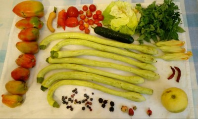 20180730_142504-1.jpg (73.03 KiB) Osservato 388 volte 20180730_142504-1.jpg