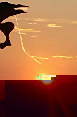 Dopo l'alba / 20180803_063454-1.jpg 20180803_063454-1.jpg