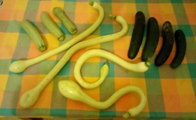 20180805_201811-1.jpg (53.55 KiB) Osservato 358 volte 20180805_201811-1.jpg