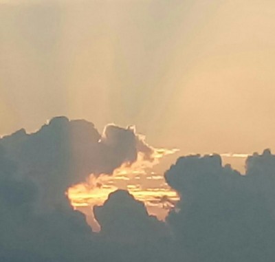 20180809_063541-1-1.jpg (36.06 KiB) Osservato 349 volte 20180809_063541-1-1.jpg