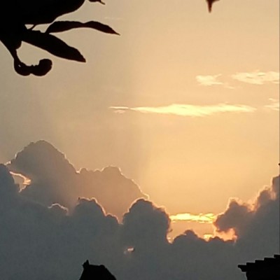 IMG_20180809_074732_318.jpg (43.16 KiB) Osservato 349 volte IMG_20180809_074732_318.jpg