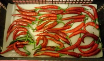 20180809_091438-1.jpg (67.91 KiB) Osservato 347 volte 20180809_091438-1.jpg