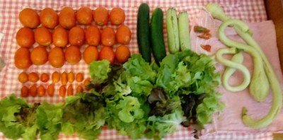 20180809_144845-1-1.jpg (66.29 KiB) Osservato 327 volte 20180809_144845-1-1.jpg