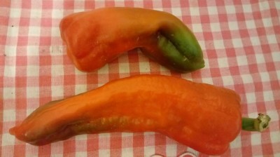 20180811_112615.jpg (56.82 KiB) Osservato 321 volte 20180811_112615.jpg