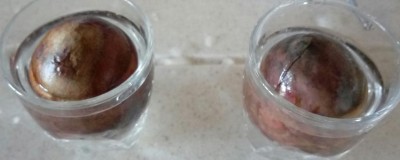 20180817_183944-1.jpg (33.33 KiB) Osservato 325 volte 20180817_183944-1.jpg