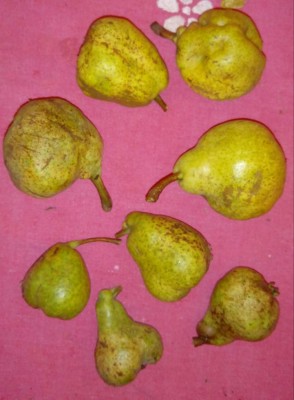 Pere / 20180902_094342-1.jpg 20180902_094342-1.jpg