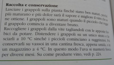 IMG-20180907-WA0001.jpg (72.55 KiB) Osservato 412 volte IMG-20180907-WA0001.jpg