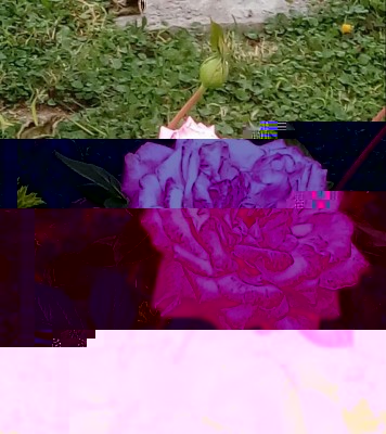 20180912_185533-1.jpg (149.93 KiB) Osservato 304 volte 20180912_185533-1.jpg