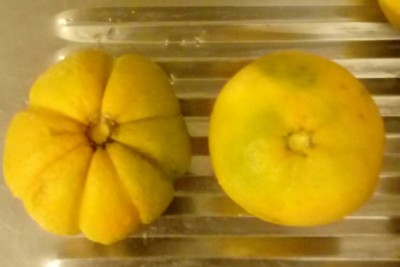 20181117_120714-1.jpg (45.15 KiB) Osservato 424 volte 20181117_120714-1.jpg