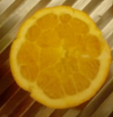 20181118_122346-1.jpg (52.35 KiB) Osservato 407 volte 20181118_122346-1.jpg