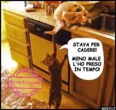 IMG-20181128-WA0000.jpg (50.07 KiB) Osservato 451 volte IMG-20181128-WA0000.jpg