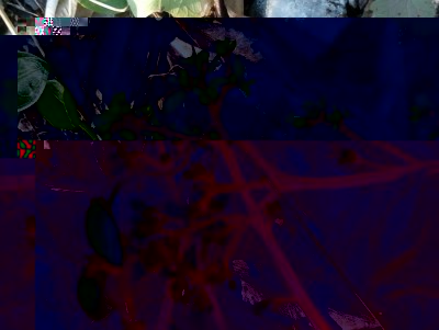 20181205_095332-1.jpg (144.17 KiB) Osservato 377 volte 20181205_095332-1.jpg