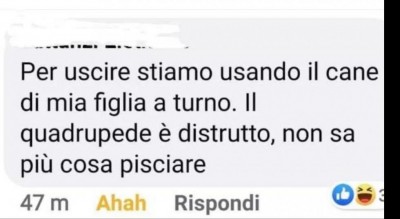 IMG-20200313-WA0004.jpg (44.81 KiB) Osservato 299 volte IMG-20200313-WA0004.jpg