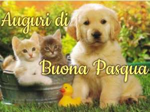 gattini_cagnolino_auguri_di_buona_Pasqua rid.jpg