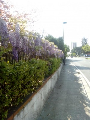 IMG_20200418_095816.jpg (107.93 KiB) Osservato 324 volte IMG_20200418_095816.jpg