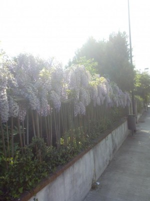 IMG_20200418_095838.jpg (74.65 KiB) Osservato 324 volte IMG_20200418_095838.jpg