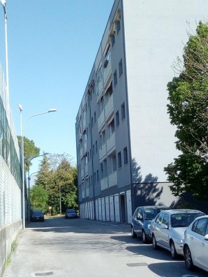 Rientro al palazzo grigio / IMG_20200422_095809.jpg IMG_20200422_095809.jpg