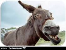 download.jpeg download.jpeg