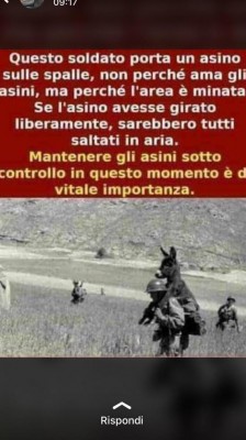 IMG-20200520-WA0002.jpg (67.1 KiB) Osservato 358 volte IMG-20200520-WA0002.jpg