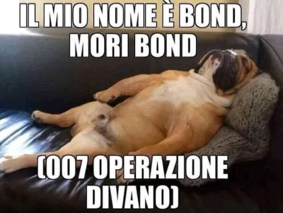 moribond.jpg (41.34 KiB) Osservato 443 volte moribond.jpg