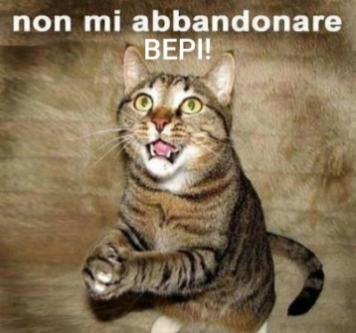 20200922_131223.jpg (107.59 KiB) Osservato 492 volte 20200922_131223.jpg