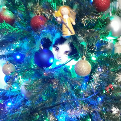 20201209_134759.jpg (205.19 KiB) Osservato 313 volte 20201209_134759.jpg