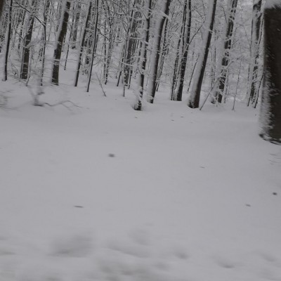 IMG_20210114_065217_898.jpg (88.66 KiB) Osservato 413 volte IMG_20210114_065217_898.jpg